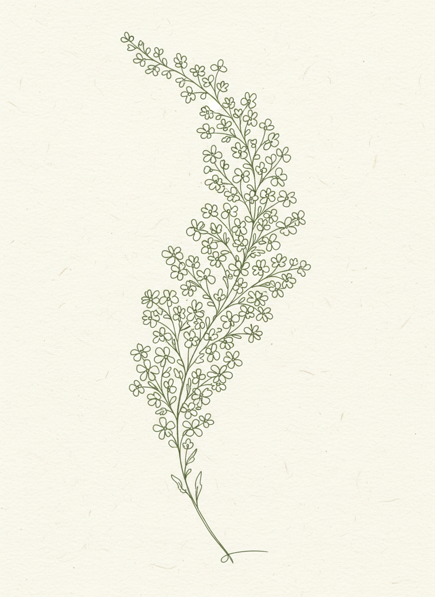 19. Folhagem com Pequenas Flores